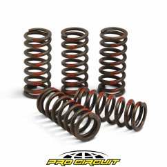 PRO CIRCUIT pružiny spojky - KTM